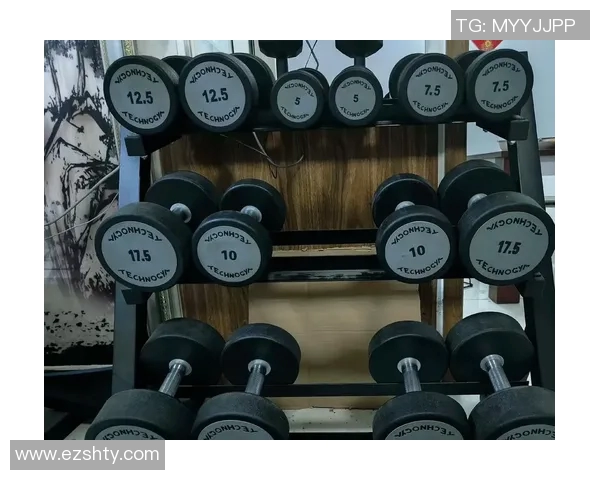 哑铃价格揭秘每公斤多少钱让你轻松选择健身器材的最佳方案